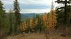 Just another pretty view of the mountains, larches, and other conifers, from high on the closed FSR 453B.