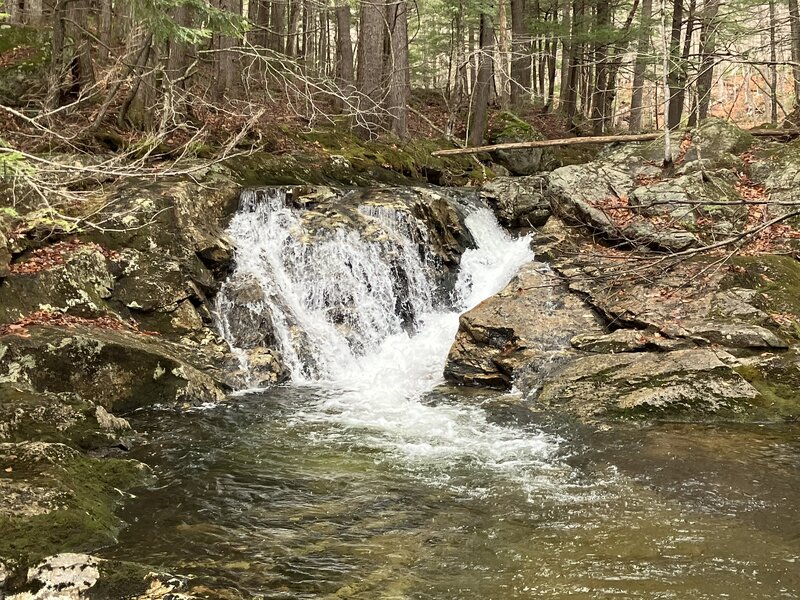 A small waterfall along Royce Trail.