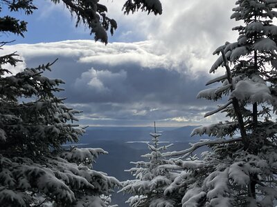 A snowy view through the treetops.