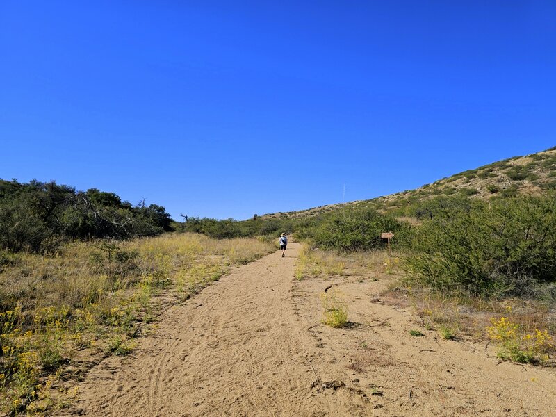 In Kannally Wash toward the ranch house.