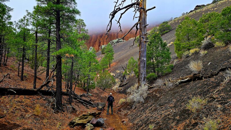 Red Mountain Geological Area.