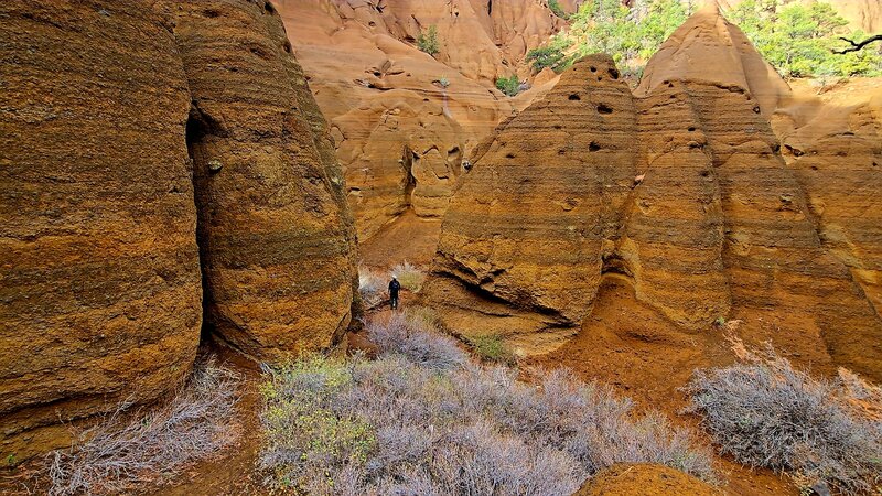 Red Mountain Geological Area