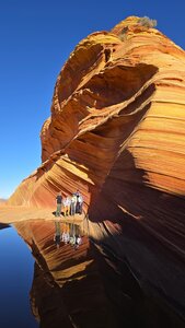 The Wave