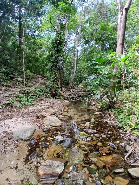 Pretty creek crossing