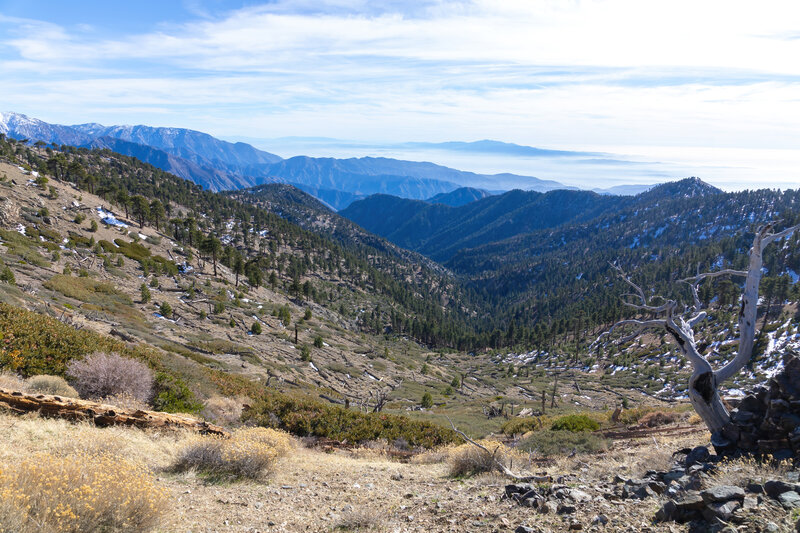 South Fork Iron Fork San Gabriel River drainage.