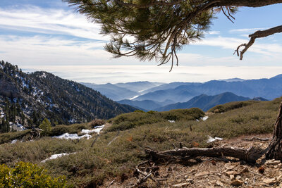 View towards the Crystal Lake area.