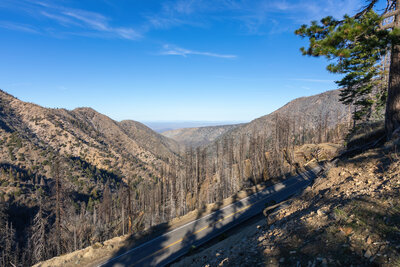 The South Fork Big Rock Creek drainage.