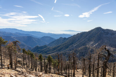 Bear Creek drainage with Twin Peaks to the right.