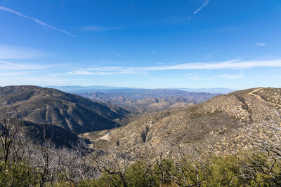 Aliso Canyon