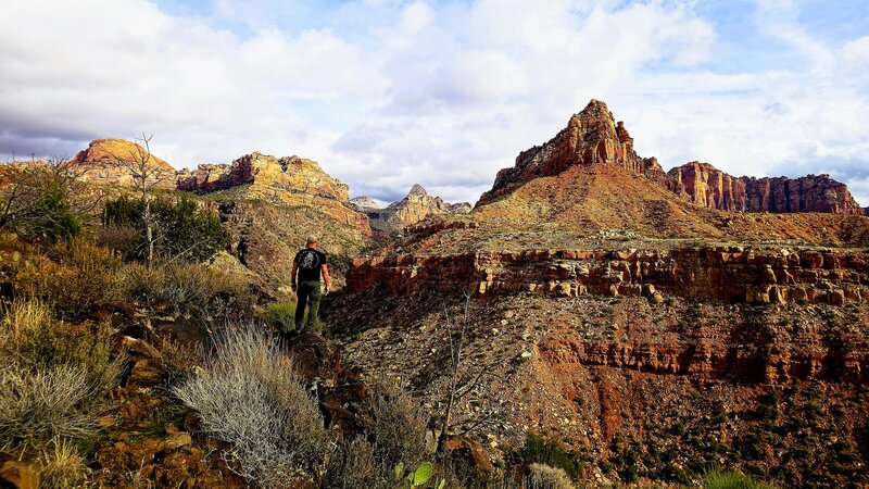 Grapevine Trail