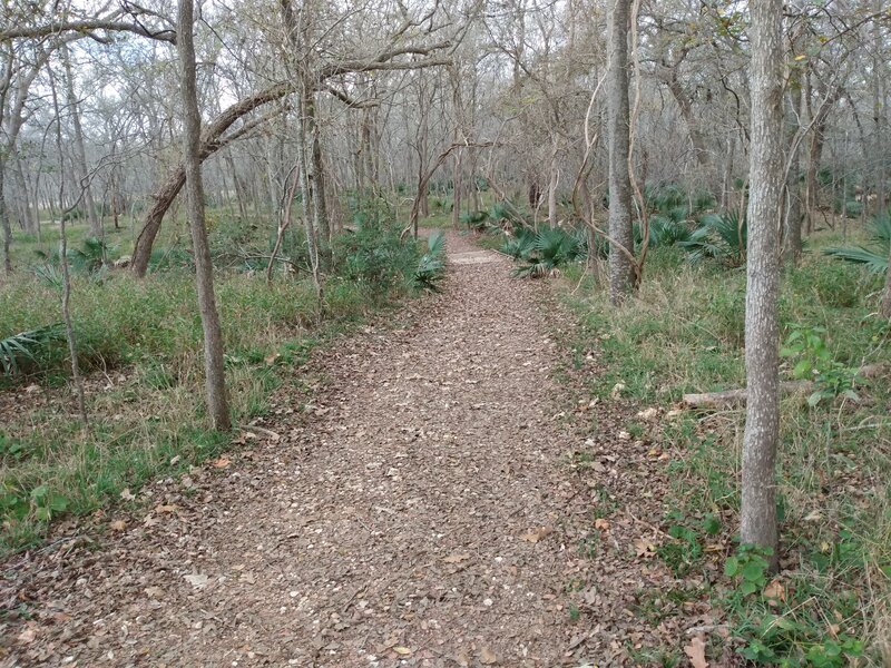 The Mesquite Flats Trail from the junction with the San Marcos River Trail.