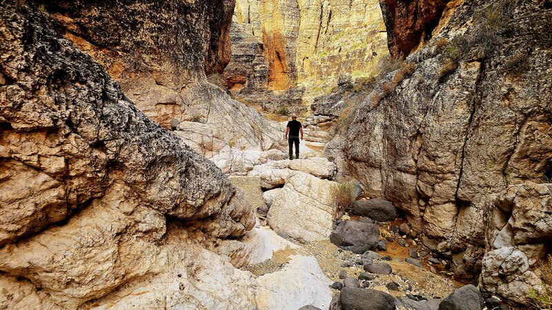 Fossil Canyon