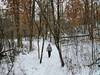 On the Woodland Trail near the 300 Campground.