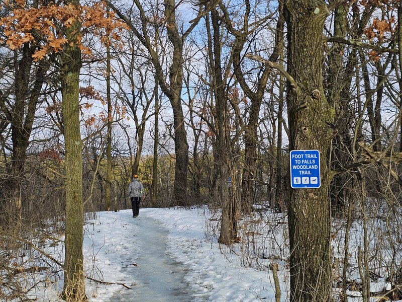 Where the Woodland Trail turns north just past the Pioneer Trail.