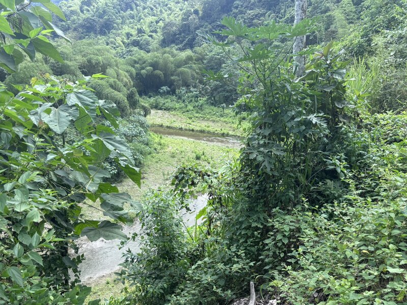 View of the Ayampe.