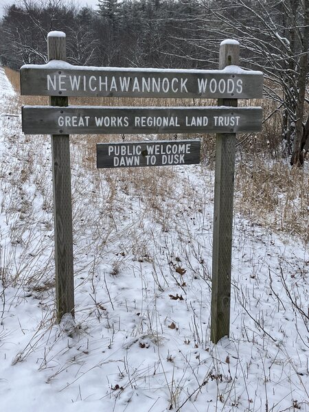 Newichawannock Woods.