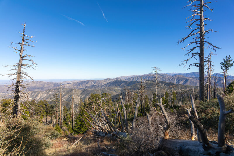 View from Mount Gleason