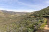 Mint Canyon
