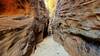 Petroglyph Pools and Slot Canyon
