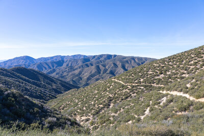 Sawmill Mountain