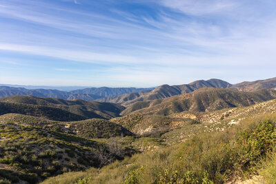 Seemingly endless ridges to the south of Sawmill Mountain.