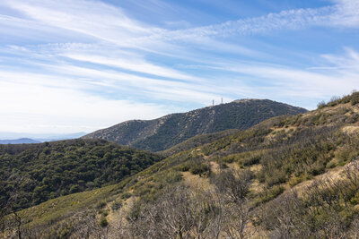 Burnt Peak from a ridgetop junction.