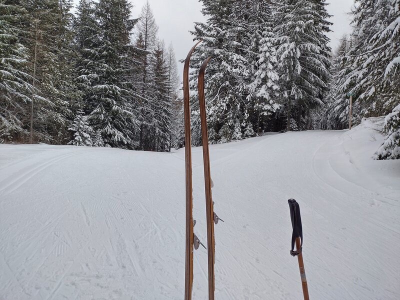 Mica Road goes left, Paper Trail goes right, in the beautiful, wintery, conifer forest of Mt. Spokane (Washington) State Park, a great place to cross-country ski.