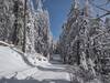 Quartz Mountain Loop on a perfect, bluebird. late February day.