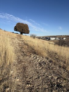 From Ridgewalk