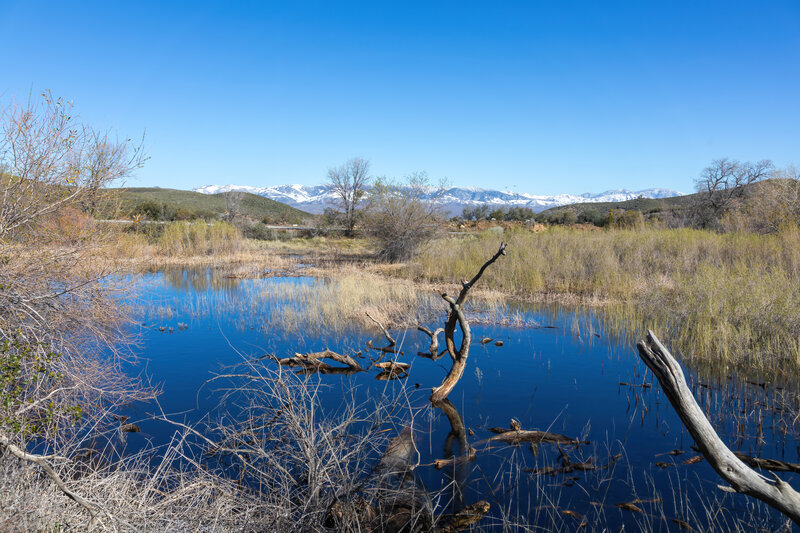 A sag pond just beyond Pine Canyon Road.