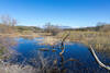 A sag pond just beyond Pine Canyon Road.