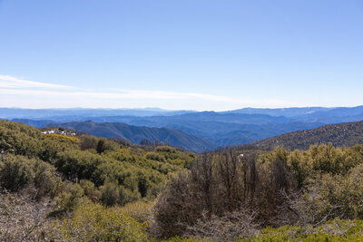 Bear Canyon