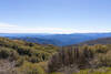 Bear Canyon