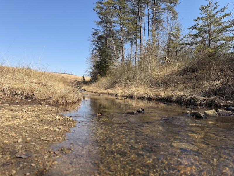 Small creek to cross.
