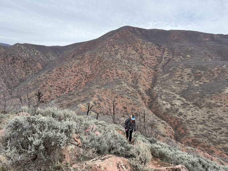 Nearing the top of Storm King Peak.