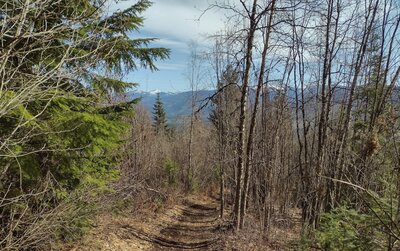 As the trail climbs high, views of the snowy Selkirk Mountains emerge.