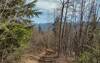 As the trail climbs high, views of the snowy Selkirk Mountains emerge.