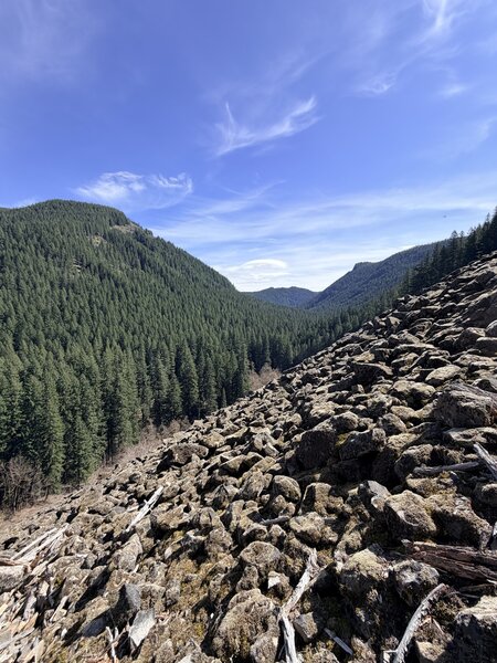 Rock field