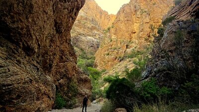 The Window Trail