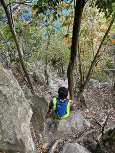 Typical section of trail looking down.