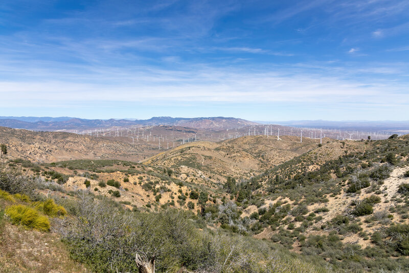 Yet another wind farm ahead.