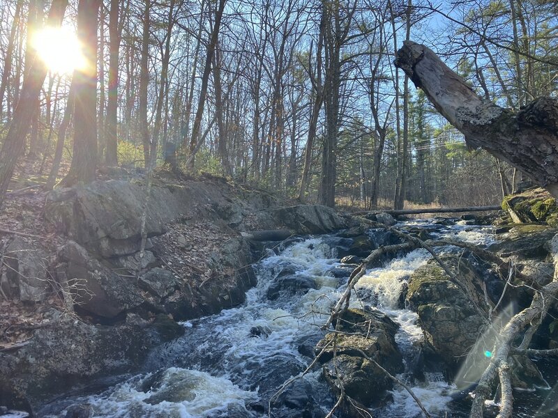 Sunlight over Ogunquit River.