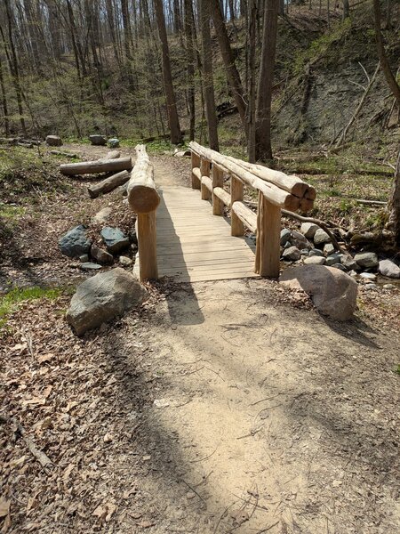 Warbler Trail Bridge