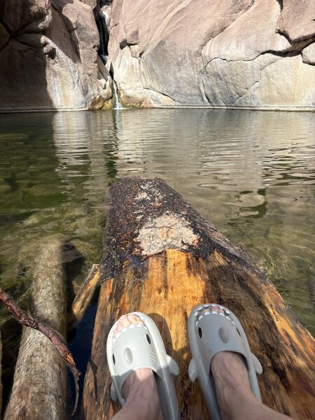 Bring Shark shoes.