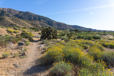 The trail veers away from the highway towards the ridge.