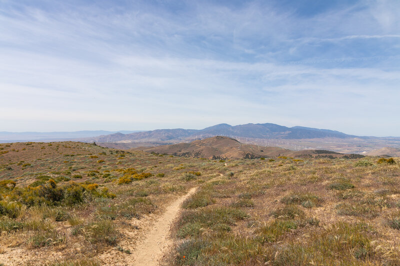 The Tehachapi Mountains in the distance.