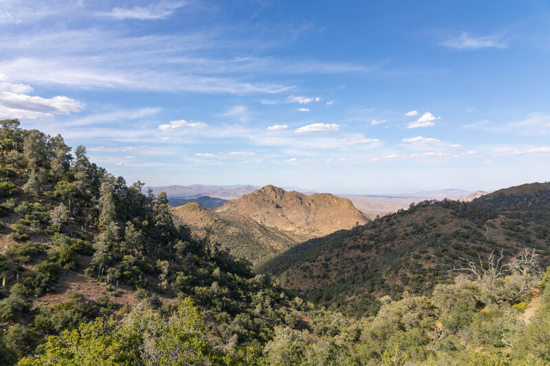 The next ridge might already be barren desert.