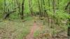 Easier section of hike, near the trailhead.
