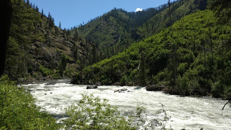 Rapids galore as this designated National Wild and Scenic River, the Selway River, runs through these beautiful mountains in the Selway Bitterroot Wilderness.