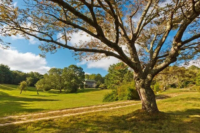 View of Wildlands Trust Headquarters at Davis Douglas Conservation Area.